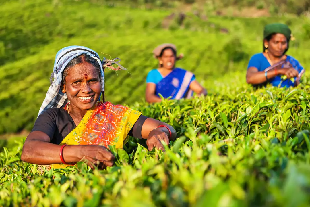 What is day to day life like in India?